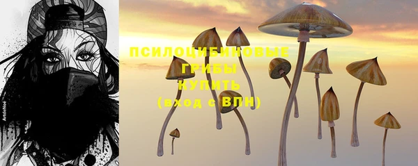 твердый Майский