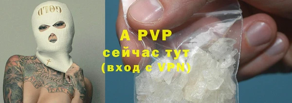СК Магадан